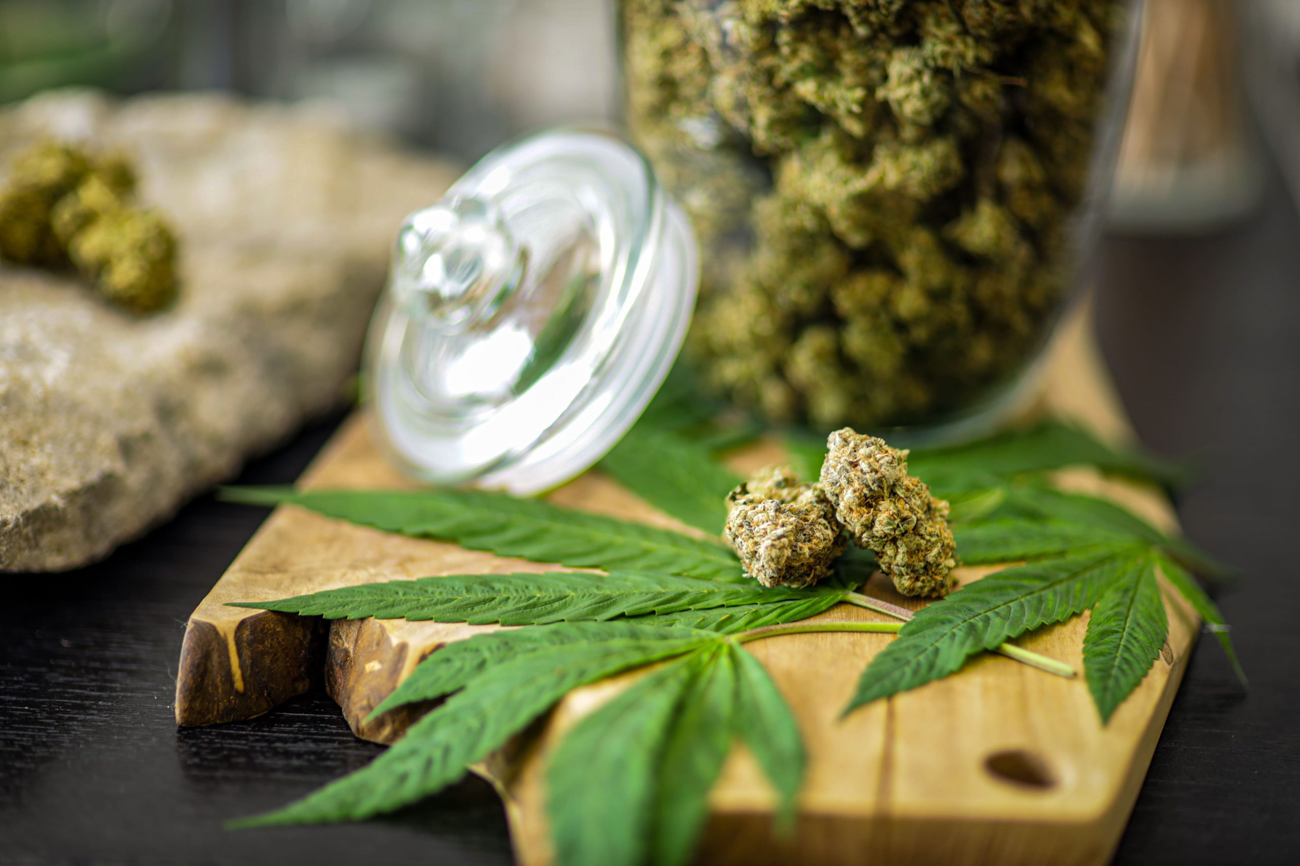 weed delivery mississauga