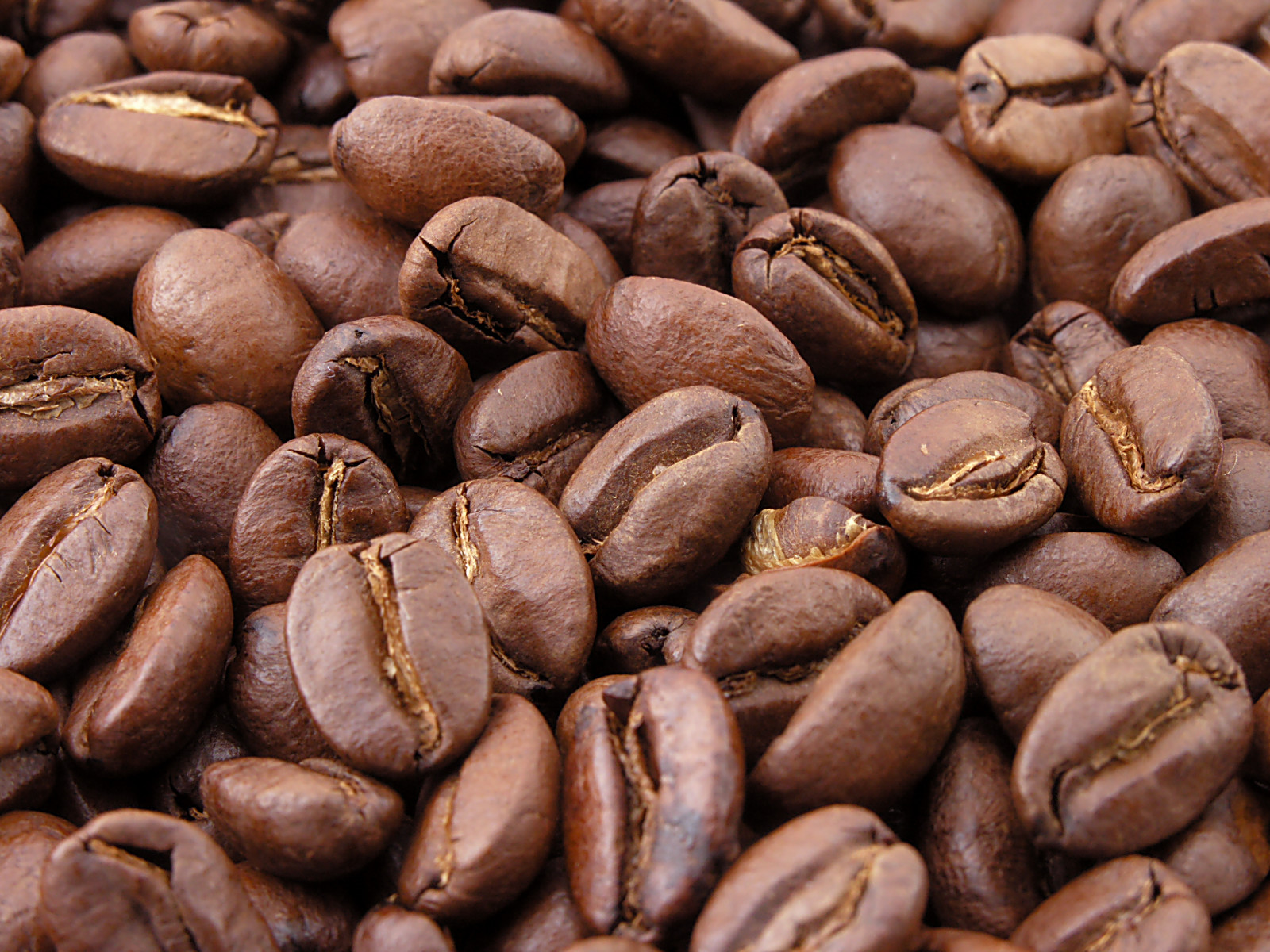 What is a coffee roaster?